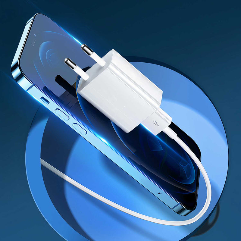 Câble MFi Lightning vers USB-A pour appareils Apple Câble Paprikase   