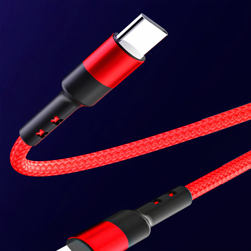 Câble USB-C vers USB-C en nylon tressé compatible chargement rapide –  Paprikase